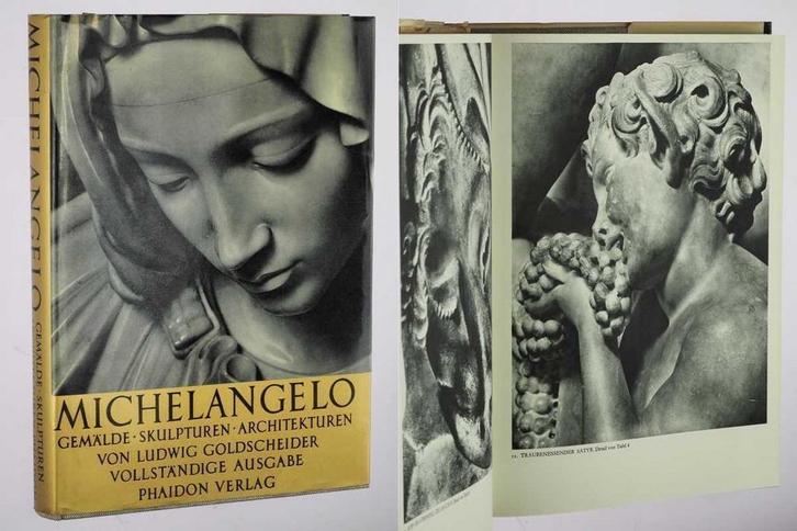 Michelangelo 9783876350165 Ludwig Goldscheider, Boeken, Taal | Duits, Gelezen, Verzenden