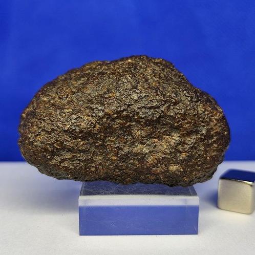 XL UREILITE - Achondrite primitive - (avec des nano-diamants, Verzamelen, Mineralen en Fossielen
