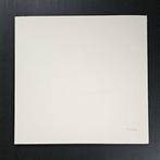 Beatles - The Beatles - White Album - 2 x LP Album, Cd's en Dvd's, Nieuw in verpakking