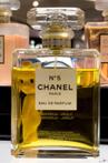 David Law - Coquin Chanel