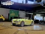 Austin-Healey 3000 Mark I (LHD) (Marge), Auto's