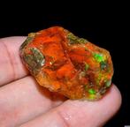 Zeldzame vuuropaal XL 53ct Ruw- 10.6 g