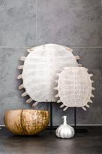 Geen reserveprijs - Chinese softshellschildpad carapax op, Antiek en Kunst