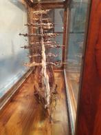 1:80 - Modelschip - Cutty-Sark