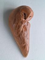 Federico Alibrio - Ochre Soul in Repose - Sleeping Barn Owl