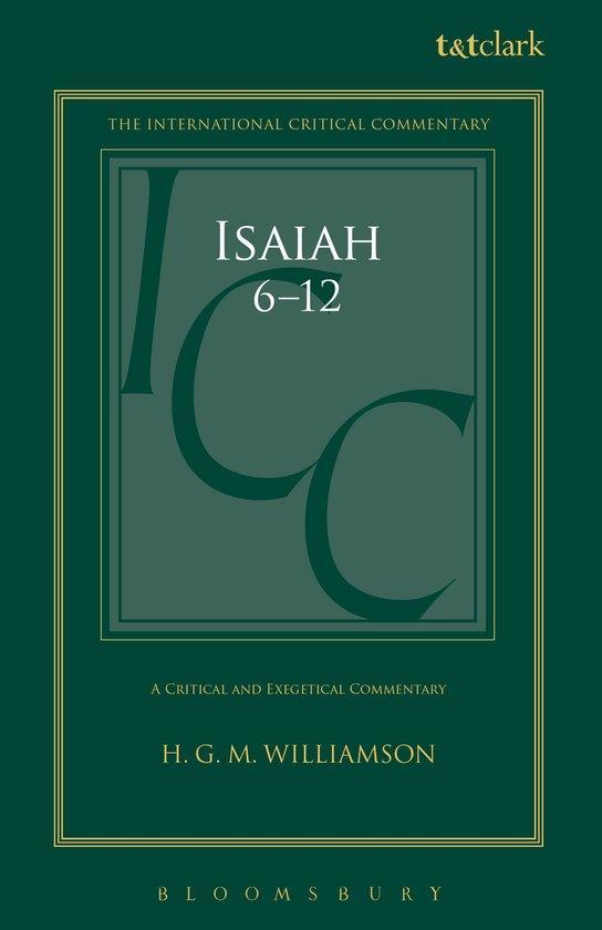 Isaiah 6-12 9780567030597 H.G.M. Williamson, Boeken, Taal | Engels, Gelezen, Verzenden