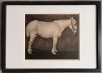 Jan Mankes (1889-1920), after - Wit Paard 1923 (mooi, Antiek en Kunst