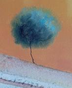 Guido Borelli - pippo