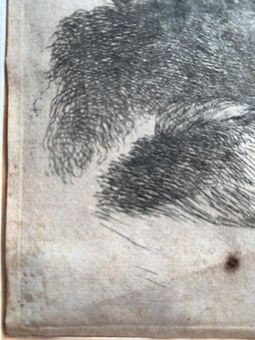 Giovanni Benedetto Castiglione (1609-1664) - Testa di, Antiek en Kunst, Antiek | Overige Antiek