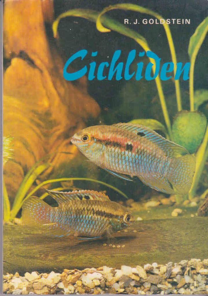 Cichliden 9789003948304 Goldstein, Boeken, Hobby en Vrije tijd, Gelezen, Verzenden