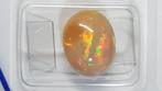 1 pcs Orange, Multicolore Opale - 5.27 ct - Antwerp