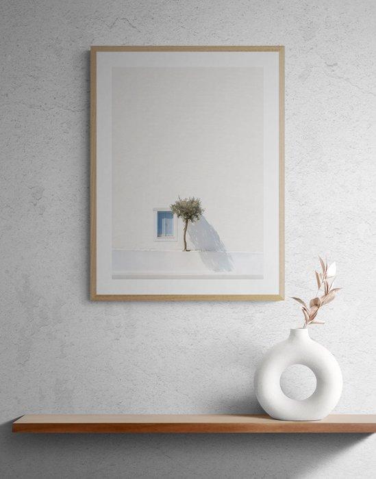 Marcus Cederberg - Greek olive tree, Antiek en Kunst, Kunst | Designobjecten