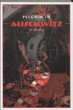 Pelgrim in Auschwitz 9789064453670 J. Pauwels, Boeken, Verzenden, Gelezen, J. Pauwels