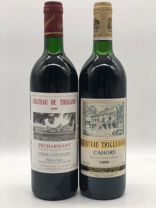 Mixed lot of 2 x 75cl 1990 reds from South West of France, Collections, Vins, Enlèvement ou Envoi