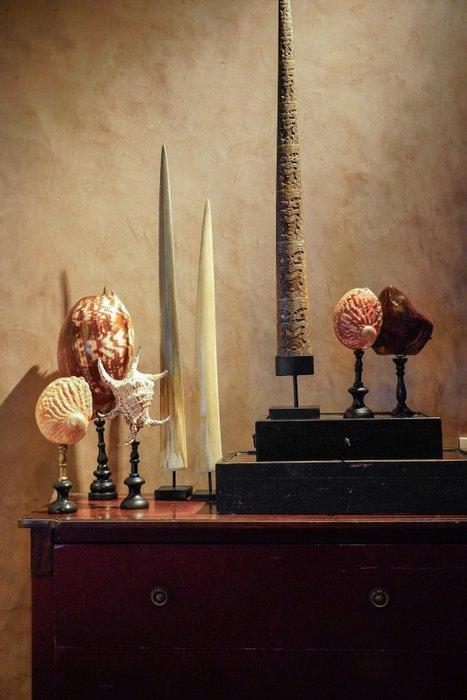 GEEN MINIMUMVERKOOPPRIJS - Een paar grote zwaardvis-rostrums, Antiek en Kunst, Kunst | Designobjecten