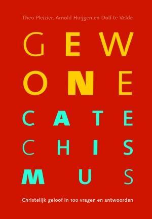 Gewone Catechismus 9789023954903 Theo Pleizier, Boeken, Godsdienst en Theologie, Zo goed als nieuw, Verzenden