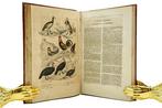 Buffon - Œuvres complètes de Buffon : Oiseaux - 1837