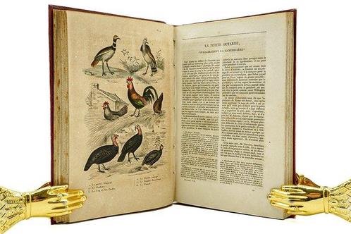 Buffon - Œuvres complètes de Buffon : Oiseaux - 1837, Antiek en Kunst, Antiek | Boeken en Manuscripten
