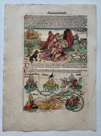 Hartmann Schedel/ Wohlgemut/ Pleydenwurff/Dürer - The, Antiek en Kunst