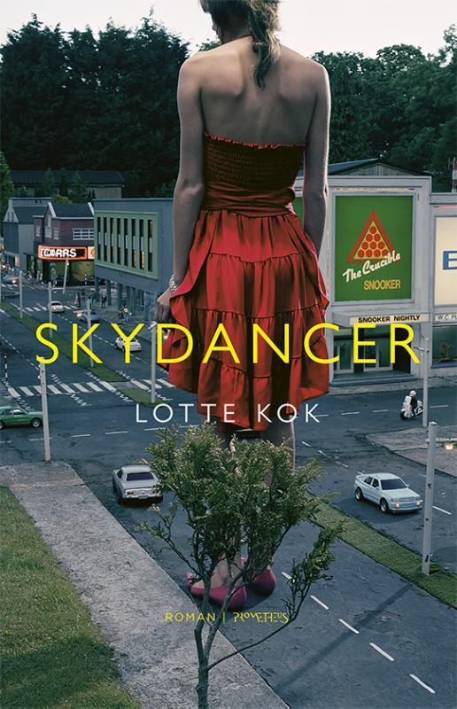 Skydancer 9789044632071 Lotte Kok, Boeken, Romans, Gelezen, Verzenden