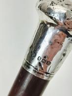 Wandelstok - Hout, Zilver, Antiek en Kunst