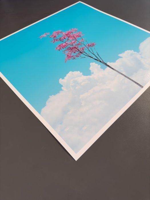 Téber - Strawberry Rosé Sangria Foliage, Antiquités & Art, Art | Objets design