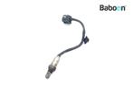 Capteur doxygène Honda CRF 1000 2016-2017 Africa Twin DCT, Motoren, Onderdelen | Honda, Verzenden, Nieuw