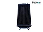 Radiateur Harley-Davidson XG 750 A Street Rod 2020, Motoren, Verzenden, Gebruikt