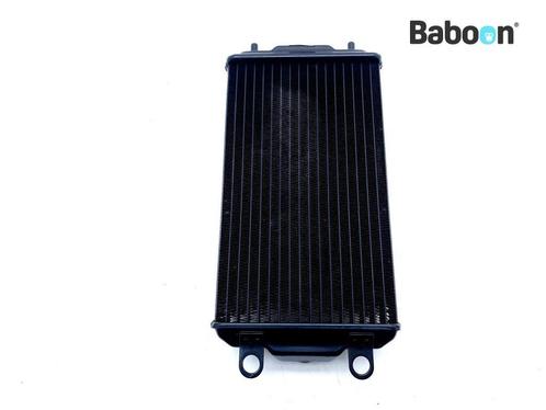 Radiateur Harley-Davidson XG 750 A Street Rod 2020, Motoren, Onderdelen | Harley-Davidson, Gebruikt, Verzenden