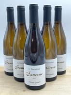 2022 Sancerre - Vincent Gaudry Tournebride - Sancerre - 6, Verzamelen, Nieuw