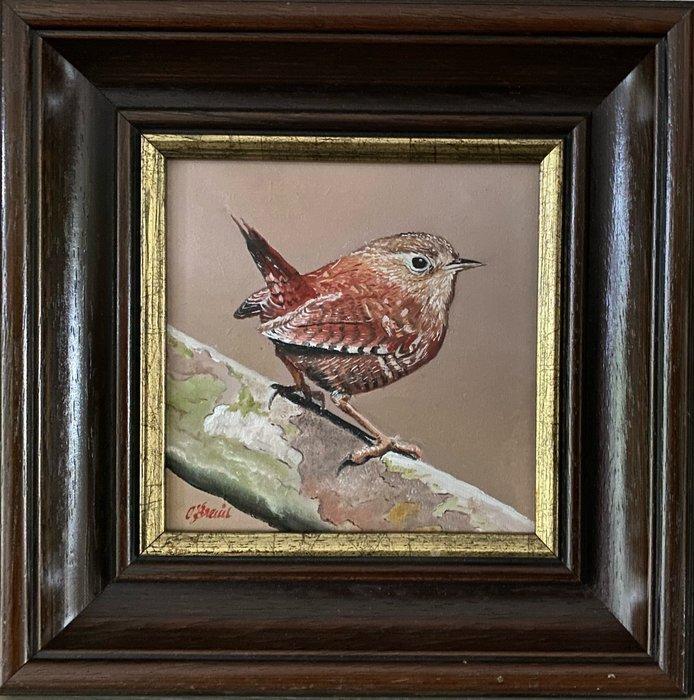 Ben Oude Breuil (1949) - Winterkoning, Antiek en Kunst, Kunst | Schilderijen | Klassiek