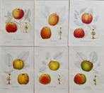 Henriette Sjöberg (1842 / 1915) - Jakob Eriksson (1848 /