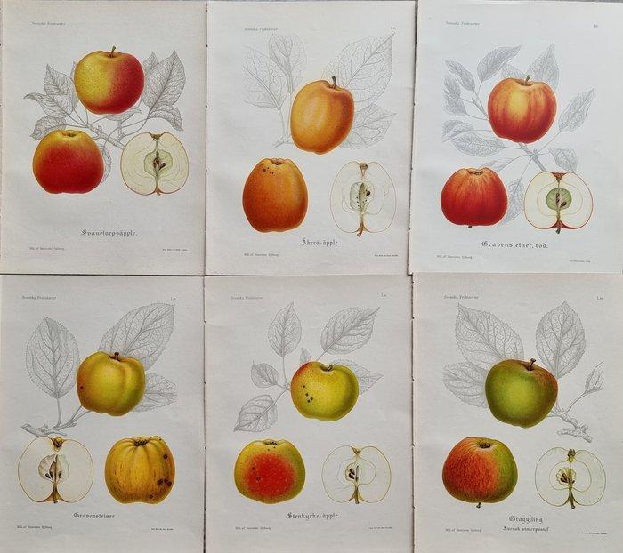 Henriette Sjöberg (1842 / 1915) - Jakob Eriksson (1848 /, Antiquités & Art, Antiquités | Livres & Manuscrits