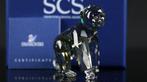 Figuur - Swarovski - Gorillajong (Boxed + certificate) -