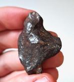 Geen reserve. Gibeon-meteoriet. Ijzer uit de ruimte - 42.2 g