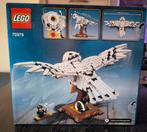 Lego Set - 75979 - Harry Potter - Hedwig, Nieuw