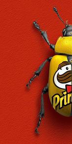 F2B - BeetleCan Pringles 1I8