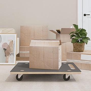 vidaXL Meubelhondjes 2 st rechthoekig 250 kg 80x55x11,5 cm, Verzenden