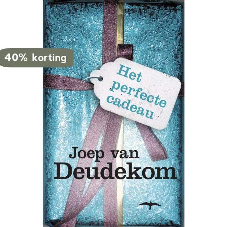 Het perfecte cadeau 9789060056493 J. van Deudekom, Boeken, Romans, Gelezen, Verzenden