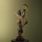 Wijnborstamazone Koppel Taxidermie Opgezette Dieren By Max, Ophalen of Verzenden, Nieuw, Vogel, Opgezet dier