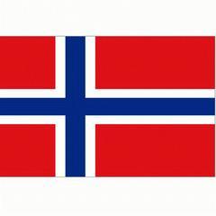 Holland Vlag Noorwegen 90 x 150cm, Sport en Fitness, Voetbal, Overige typen, Nieuw, Verzenden