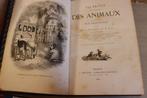 Grandville - Vie Privée et Publique des Animaux - 1867