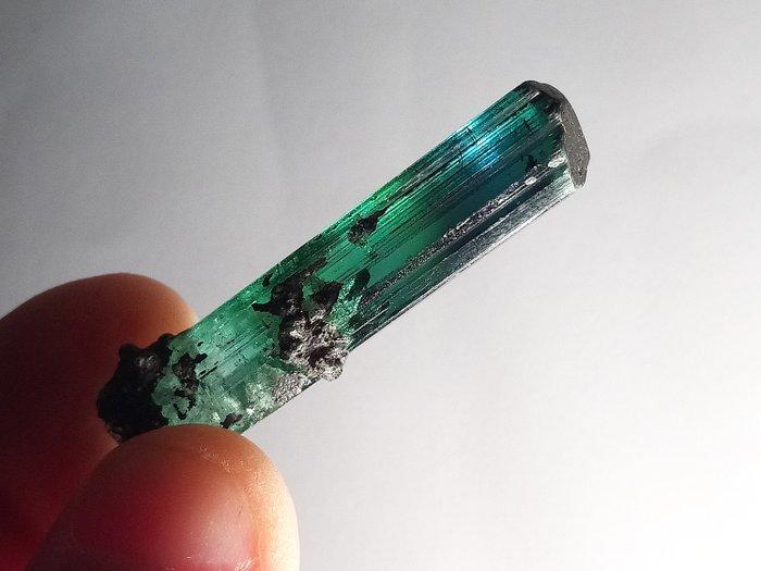 Crazy Good Grad Tricolor Toermalijn, Zeldzaamste Maat &, Verzamelen, Mineralen en Fossielen