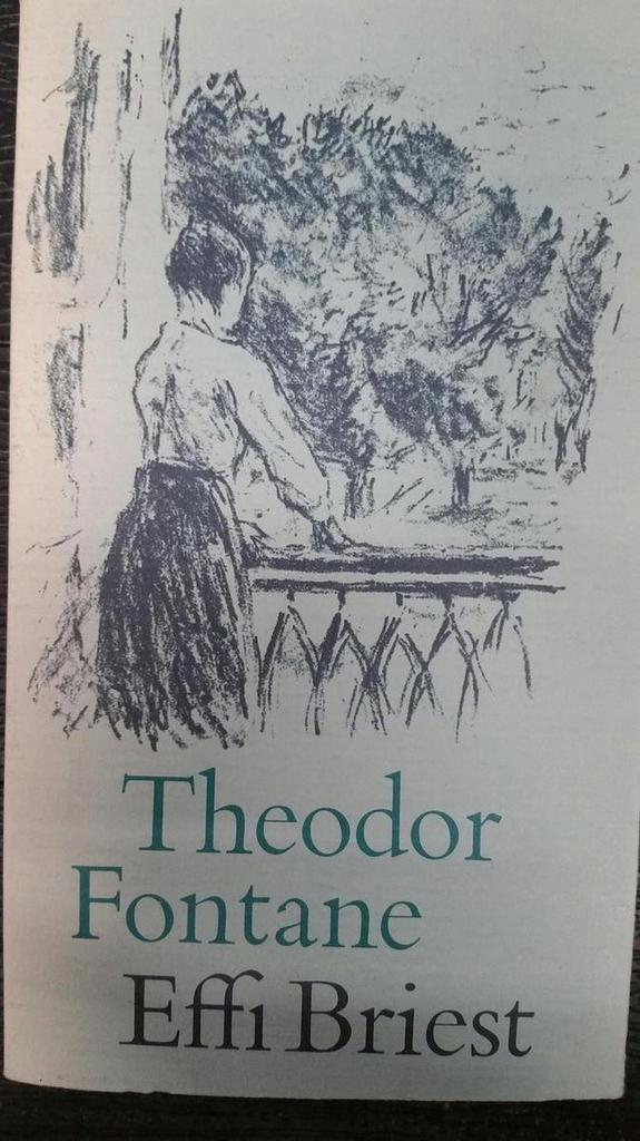 Effi briest 9789029517300 Fontane, Livres, Livres Autre, Envoi