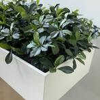 Plantenbak met kunstplanten, (bxd) 180x45 cm, MDF-wit, Huis en Inrichting, Kamerplanten
