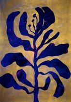 Lupo - Urban Jungle 360 - Certificated - Real Gold - XXL-NO