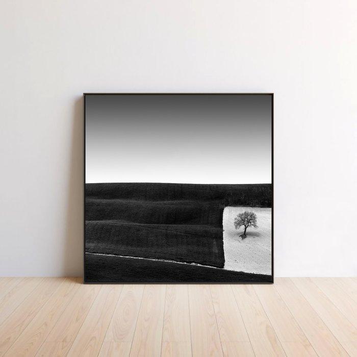 Rosario Civello - Tree in a Square, Antiek en Kunst, Kunst | Designobjecten