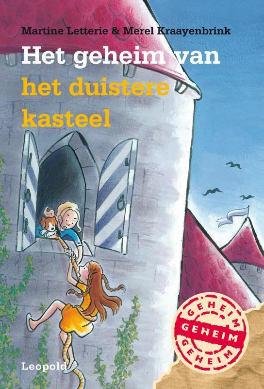 Het geheim van het duistere kasteel / Het geheim van, Livres, Livres pour enfants | Jeunesse | Moins de 10 ans, Envoi