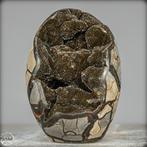 Gros deau naturelle de septaria avec des cristaux de, Verzamelen, Mineralen en Fossielen