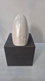 Escargot de mer Coquillage marin - Nautilus (Sans Prix de, Verzamelen, Nieuw